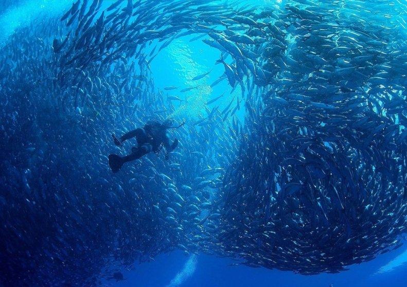 炎热天气推动全球棉花价格上涨30%，下半年价格上涨会持续吗？游戏画面